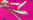 Farbehot pink florals für Bügel-Bikini-Oberteil (7040156) von Watercult