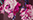 Farbeaveu petale für Halbschalen-BH (ACH3043) von Lise Charmel